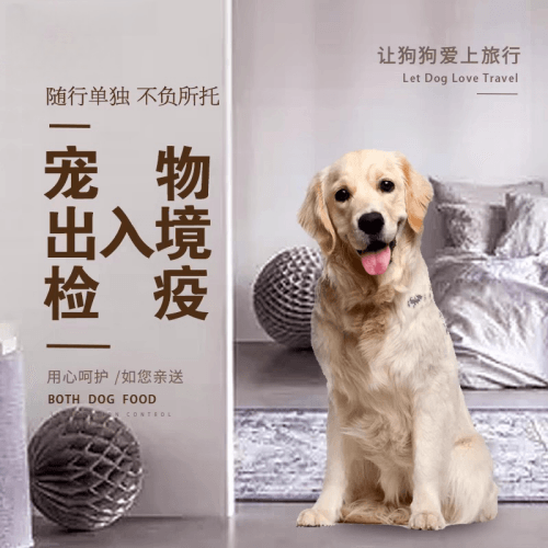 资阳市宠物托运到哥伦比亚猫狗宠物入境规定和