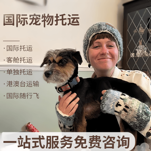 资阳市国际宠物托运到阿根廷宠物入境规定和要