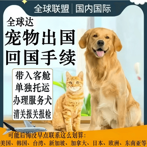 资阳市宠物托运到柬埔寨宠物入境规定和要求
