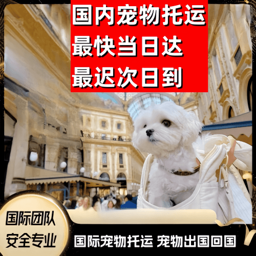 资阳市到澳大利亚（澳洲）宠物入境规定和要求