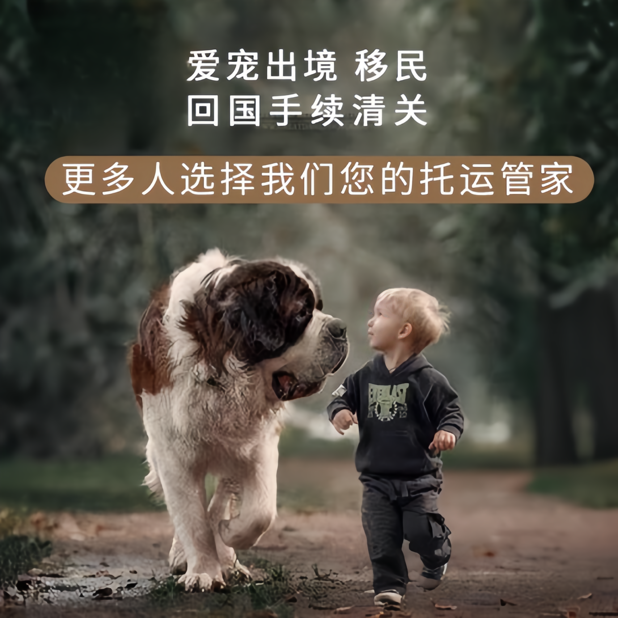 满财资阳市宠物全球达宠物托运在遵守入境目的地政策的条件