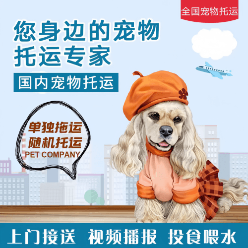 满财资阳市宠物全球达宠物托运作为专业的宠物运输代理机构
